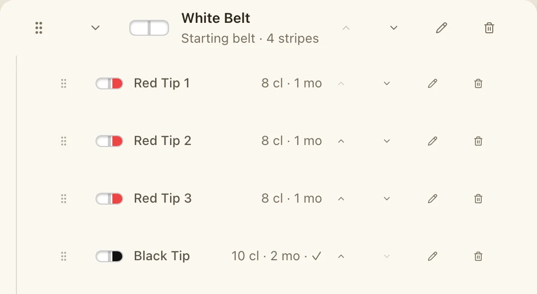 A rank plan: White Belt with stripes, each requiring a number of classes and months at rank.